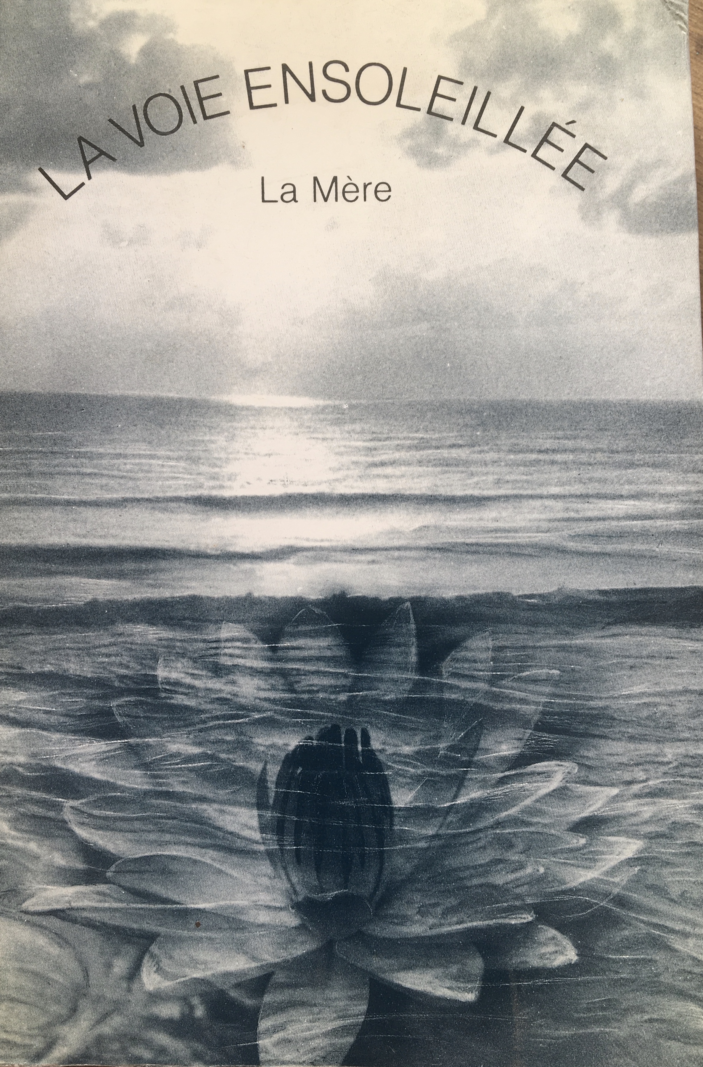 la voie ensoleillé
