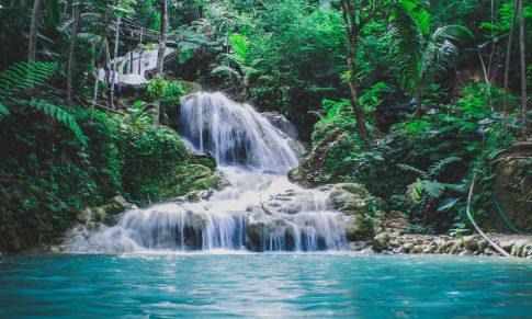 Le Flow State : Comment rentrer ‘dans la Zone’